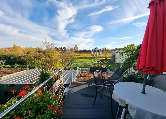 Palatinazeit - Weinblick - Ferienwohnung Im Haus Petry - Freinsheim - Pfalz