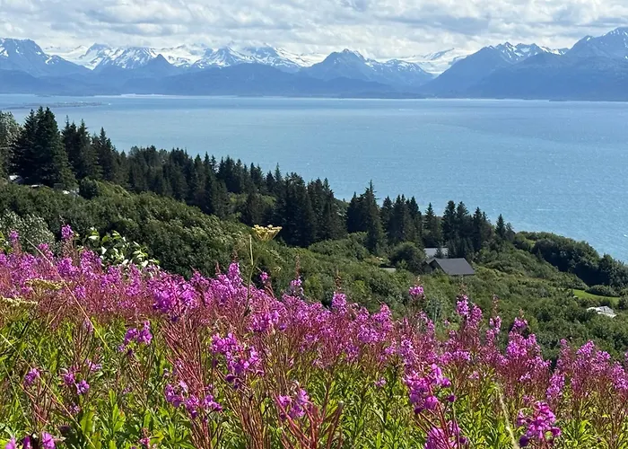 Apartment, Walkout Basement, Central Homer, Views!