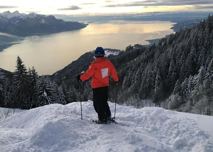 Montreux Central Boutique Apartment Lake View And Terrace