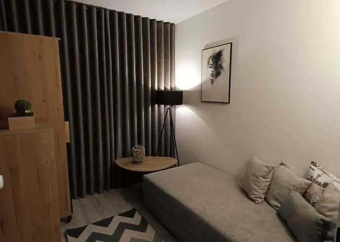 Piotrkow Trybunalski Comfort Apartment By Bookinghost