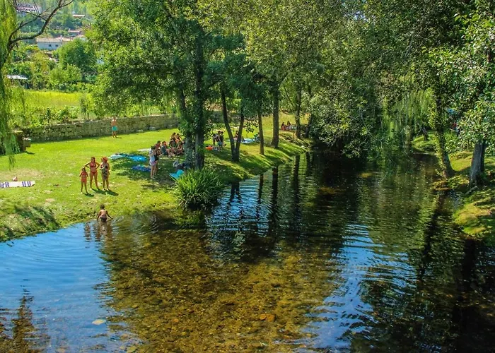 Aromas Do Vouga