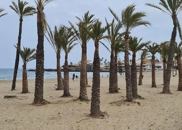 Libertad 36