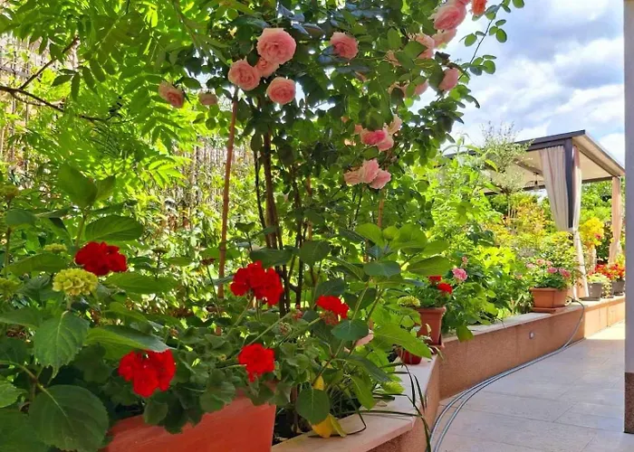 Newly Renovated Apartments In Funtana