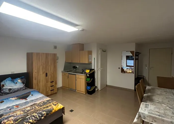 Zentrale Wohnung Naehe Breisach Am Rhein