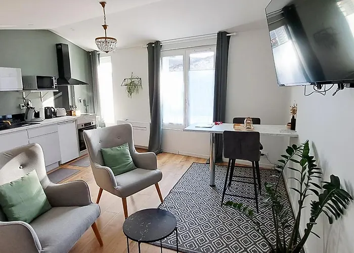 La Porte Bleue - Appartements Grand Confort - Centre Historique - Quartier Calme