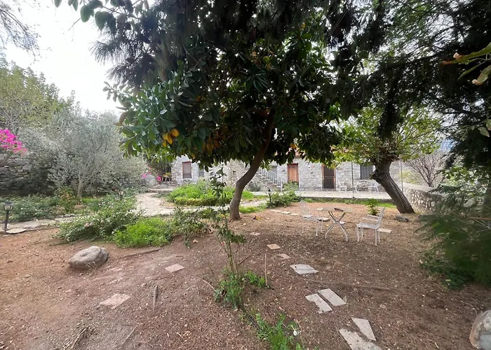 Zeytin
