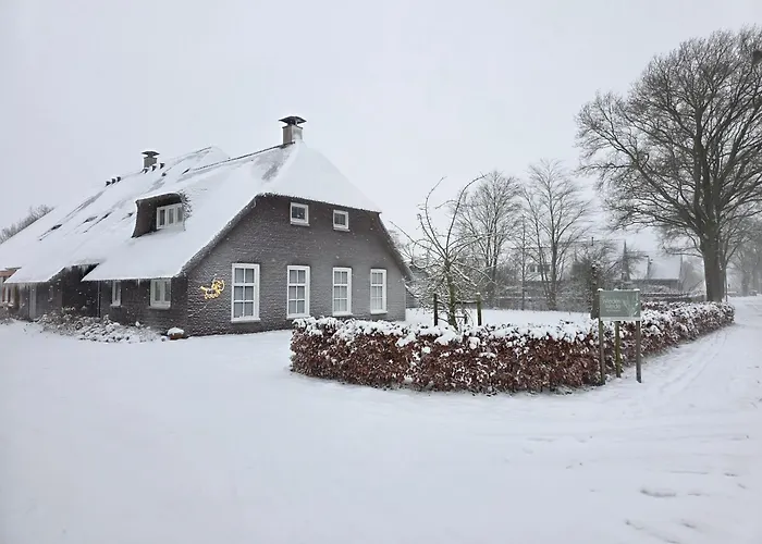 WiedenWeide