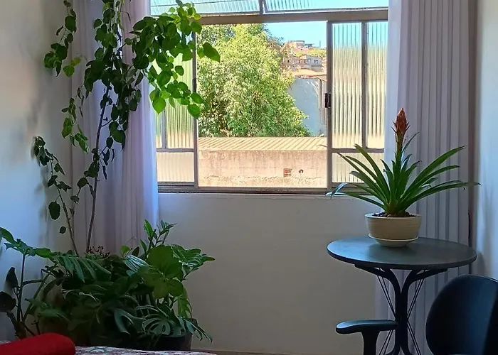 Oasis Interior