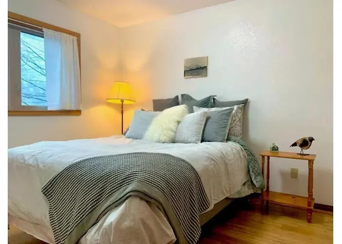 Lovely Condo Across From Downtown W Mountain View