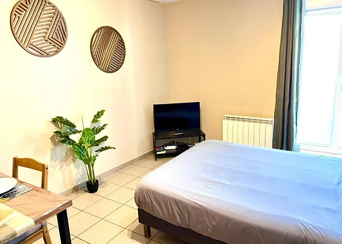 Charmant Studio Centre Ville