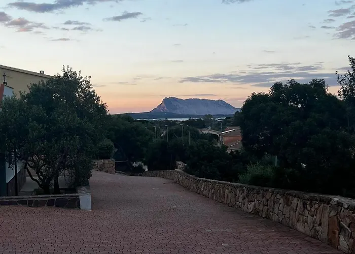 Grazioso Monolocale Con Vista Su Tavolara
