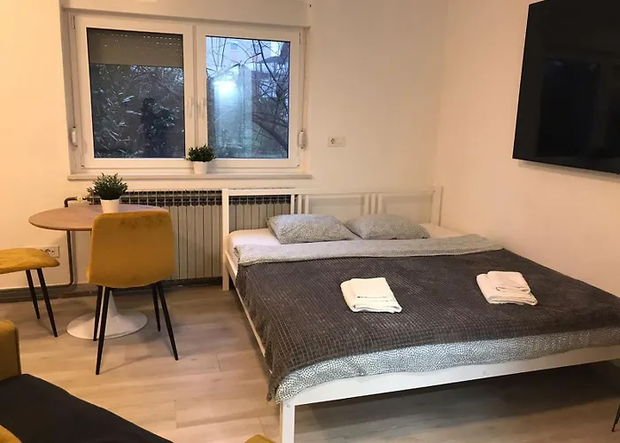 Snugg'N Cozy Studio