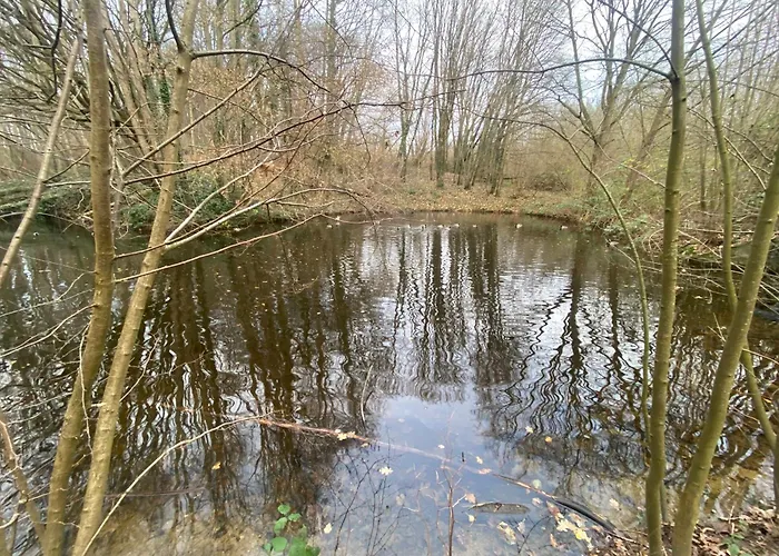 Oase Mit Meerblick, Schwimmbad & Nahe Hansapark, Kostenlos Parken