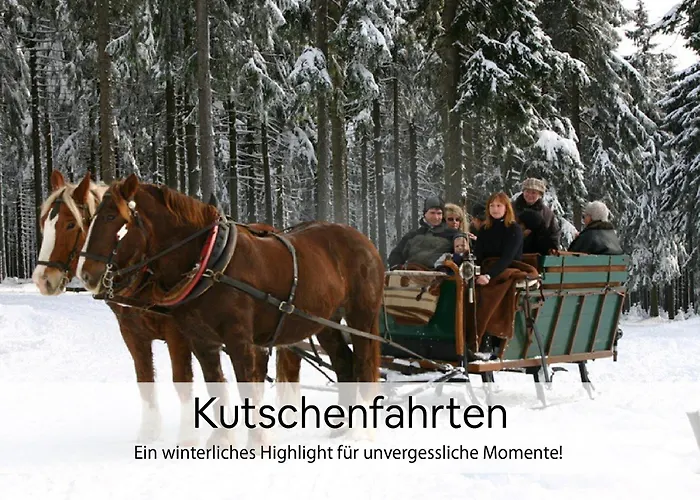 Haus Repin, Oberhof, Historische Villa Am Rennsteig, Thueringer Wald