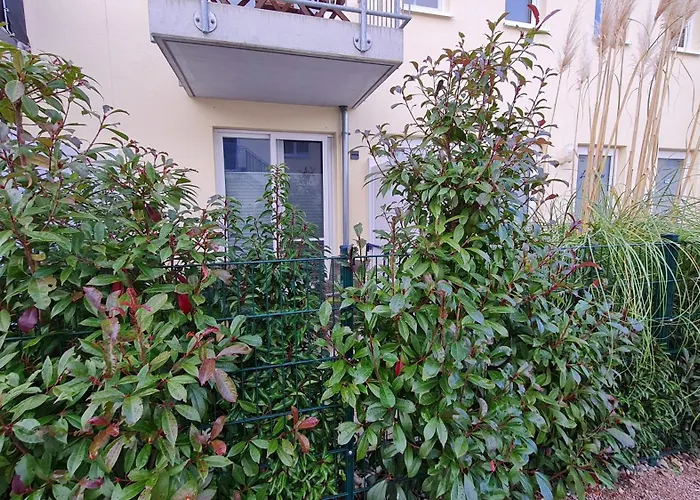 Ferienwohnung Ostsee Graal-Mueritz Kuestenwald