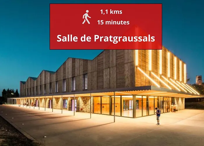 Je Jazz Les Couleurs A Albi - Centre Unesco - Parking - Climatisation - Animaux Acceptes