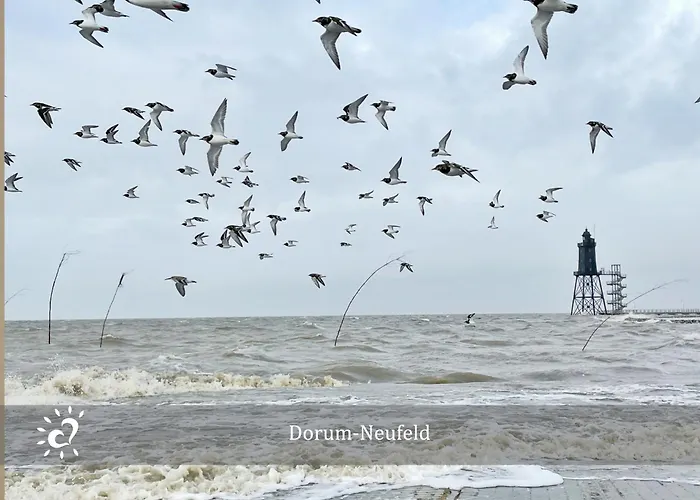 Ferienwohnung De Kattuul Direkt Am Nordseedeich
