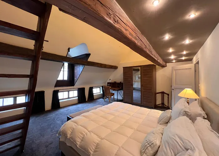 One Magnific 3 Floors Authentic Dutch House With Terrace