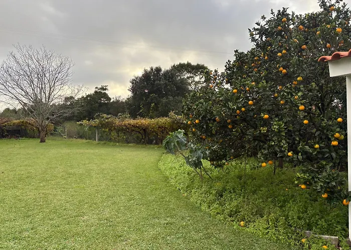Moledo Sea Garden