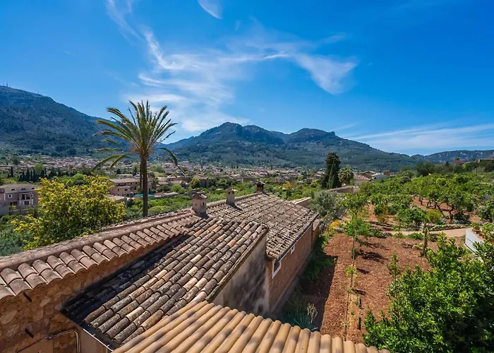 Arbona Soller