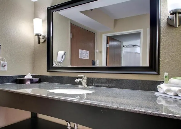 1Br 1B King Bed Apartment W Kitchen 234