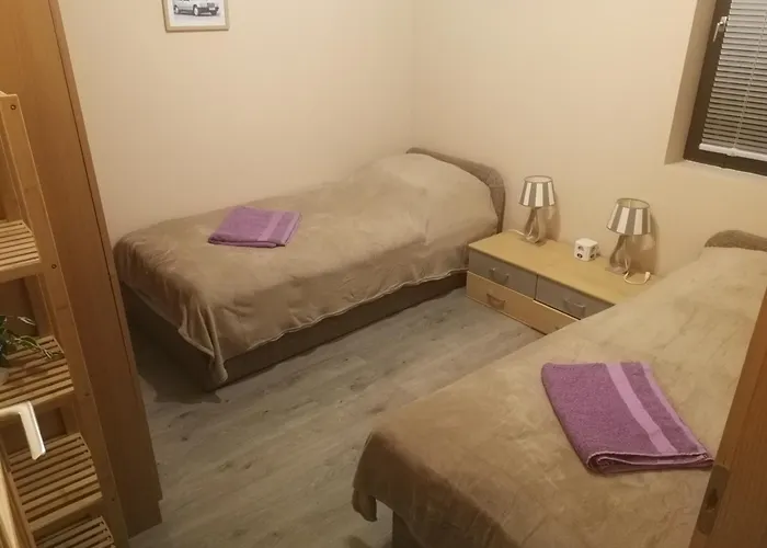 Napraforgo Vendeghaz Balatonvilagos