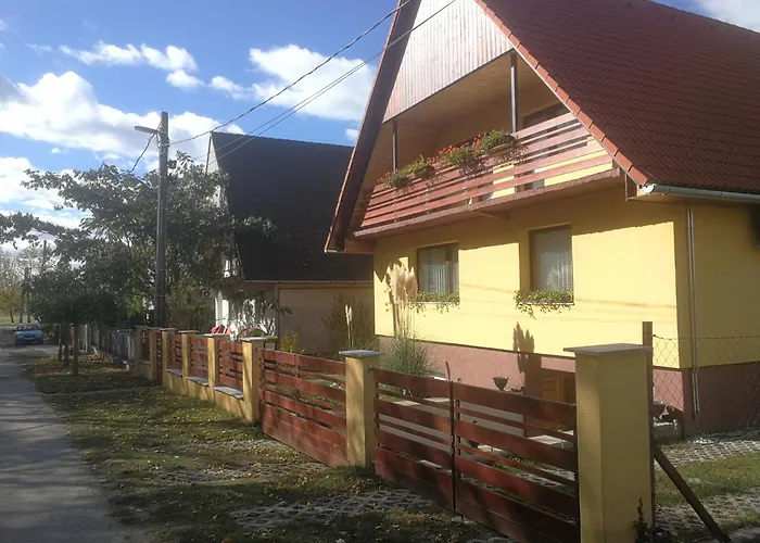 Napraforgo Vendeghaz Balatonvilagos