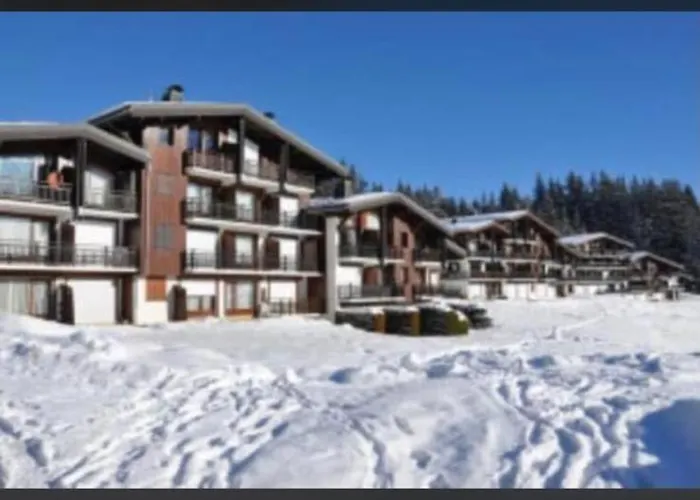 Studio Montagne