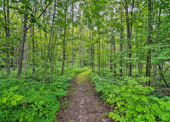 Trout Creek Resort Condo - 1 Mi To Nubs Nob!