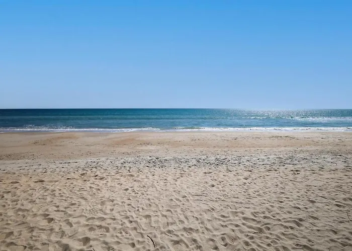 The Salty Pineapple- Ocean Views & Beach Access