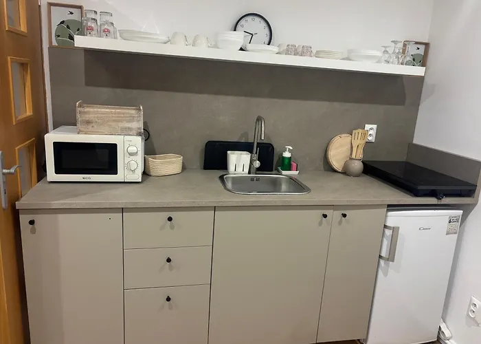 Apartment Ela Centre