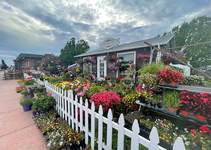 Apartment In Royal Atlantic Beach Resort - Montauk