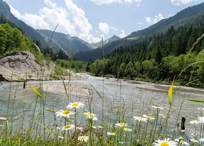 Hochalmbahnen Chalets 17W2, Schneerose, Nahe Gondel