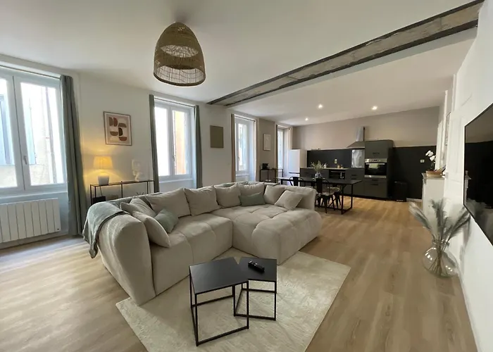 Grand Appart Haussmannien Au Centre Aubenas