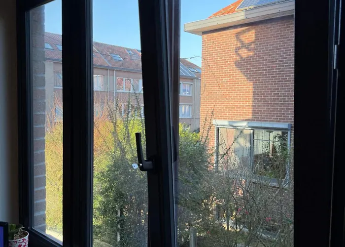 Studio In Leuven