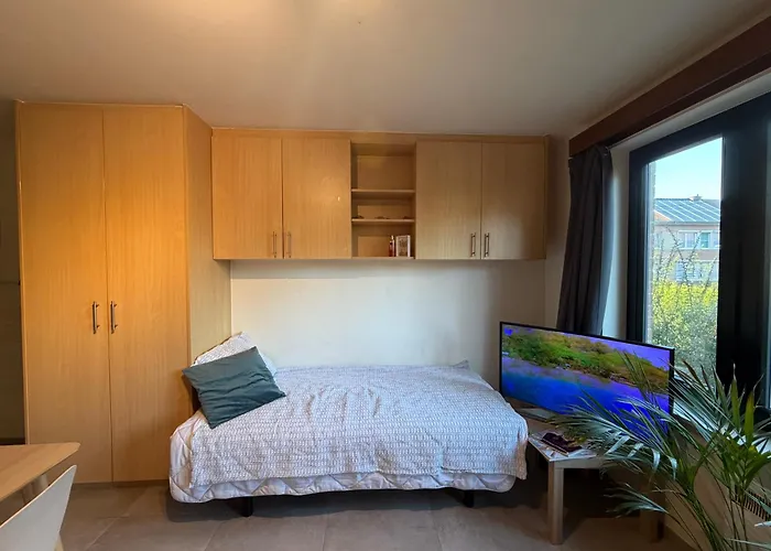 Studio In Leuven