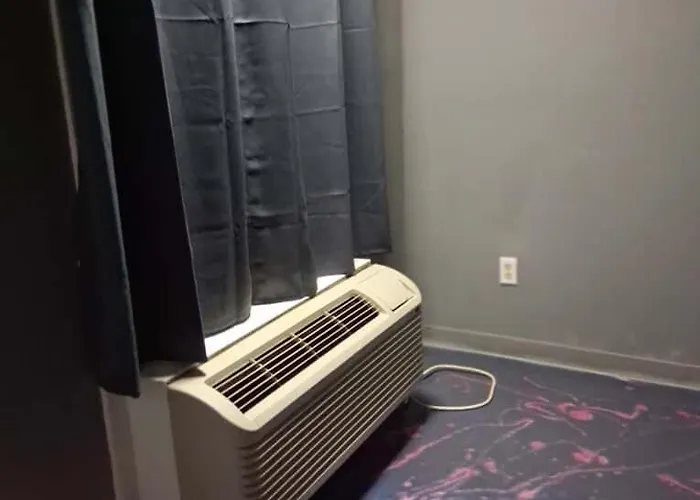 King Bed Hotel Room 255