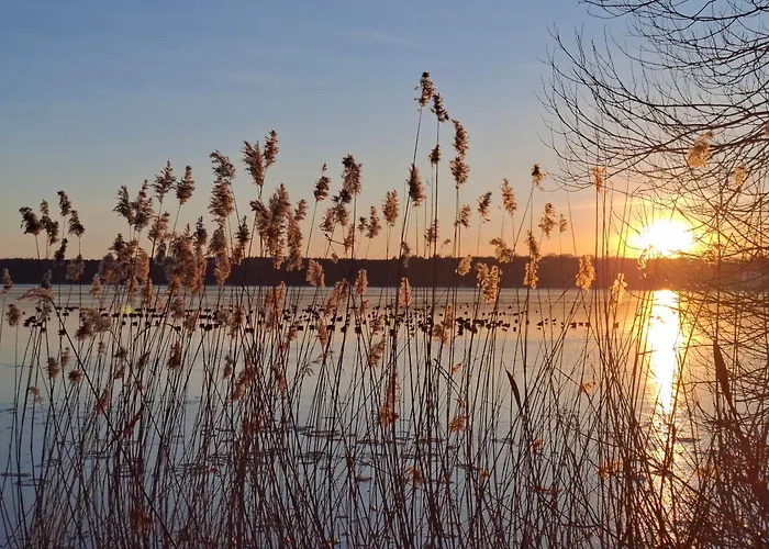 Seestudio Plau Am See Modern Mit Seeblick