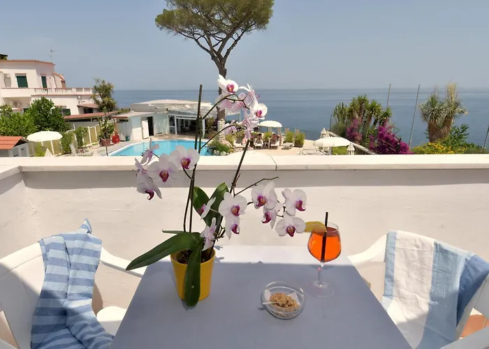 Hotel adatto agli animali: Hotel L'Approdo