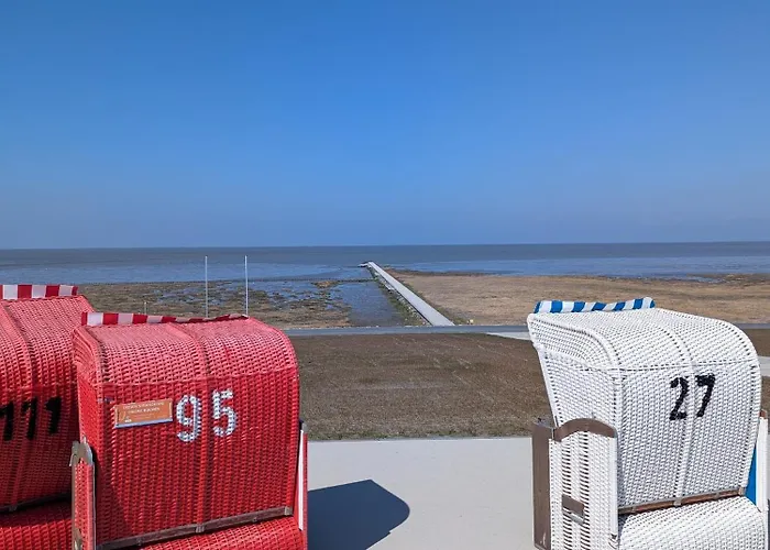 Gruene Duene Meerblick Friedrichskoog Spitze