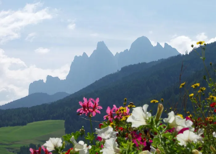 Bergblick App Laerche