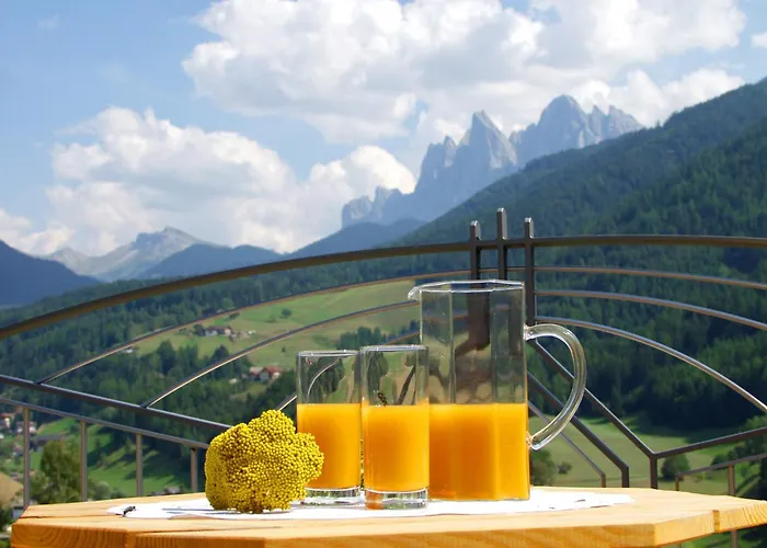 Bergblick App Laerche