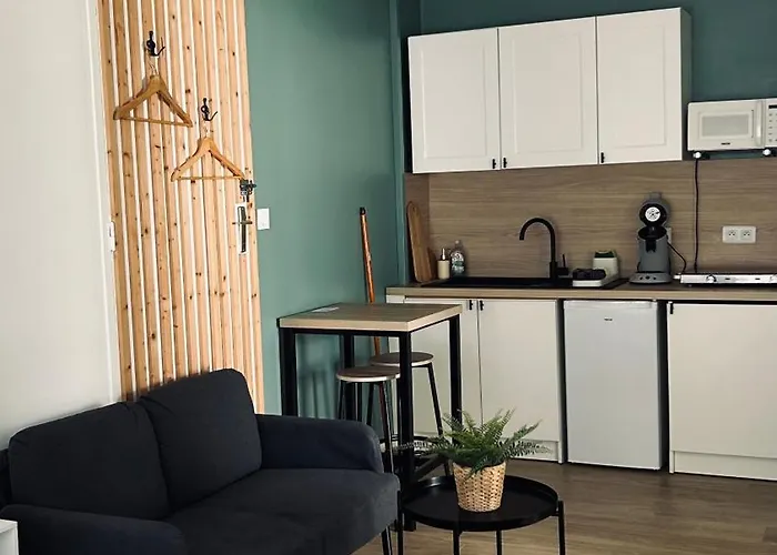Studio Refait A Neuf Avec Jardin Aigues Mortes