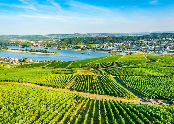 Labed - Ferienwohnung Auf Weingut Mit Privater Terrasse, Zentral Gelegen, Gratis Wlan