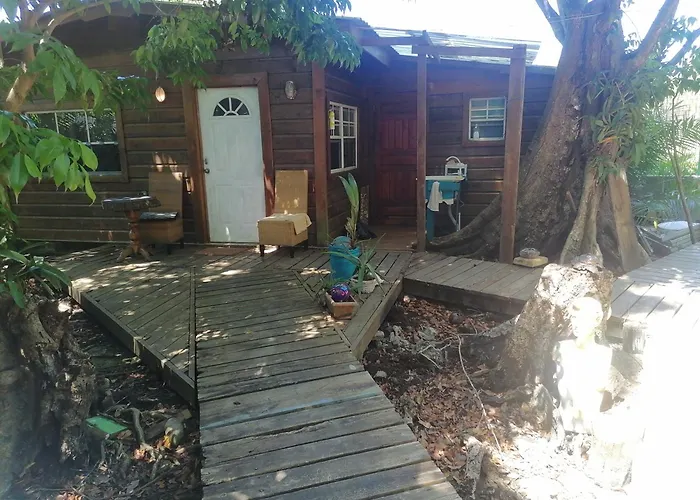 Cabana-Estudio Selvatica
