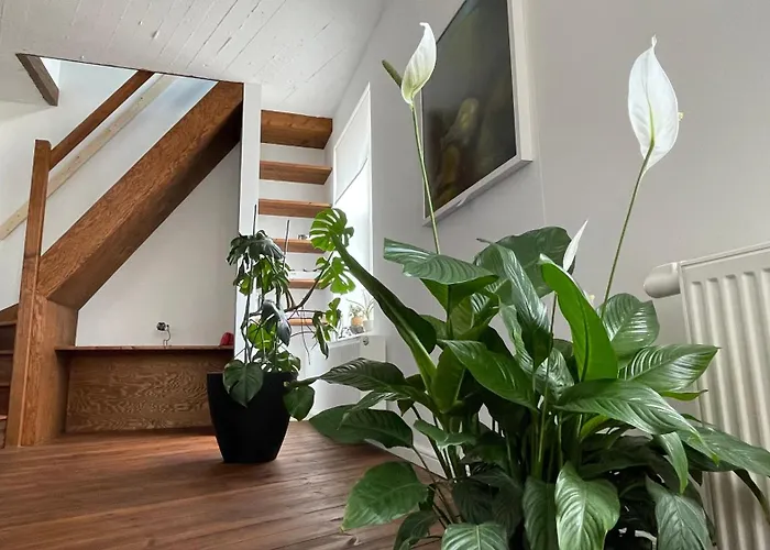Maro Appartments