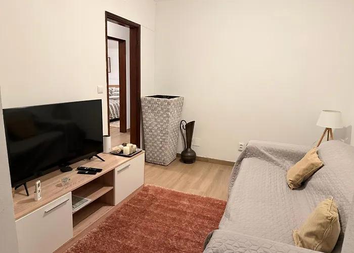 Cepas Do Salgueiral - Guest House - Apartamento Centro De Tondela
