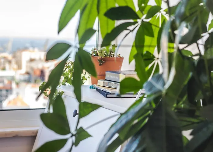 Graca Amazing River Views
