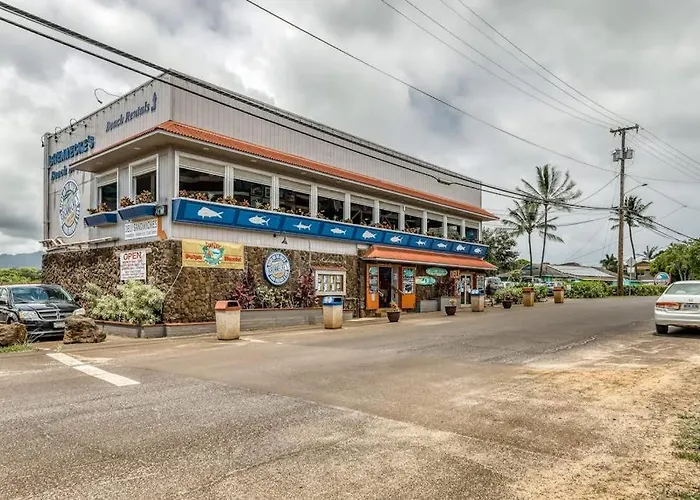 Manualoha 203