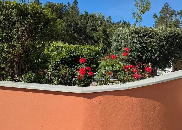 Alojamento Local - Casa Amarela